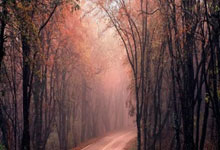 bb体育:能实现吗?若维拉夺欧冠且曼联/热刺夺欧联英超下季7队踢欧冠.