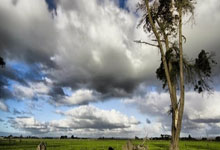 bb体育:F1车队冠军之争白热化 费斯塔彭要全力为红牛夺冠.