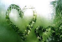 bb体育:三人篮球——亚洲杯:中国男队获亚军.